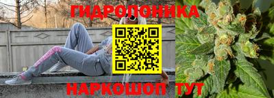 прущие грибы Бузулук