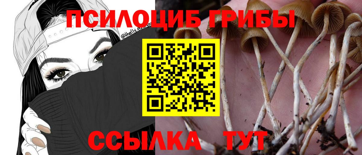 Псилоцибиновые грибы Psilocybine cubensis  купить закладку  Мелеуз  Вход с VPN 